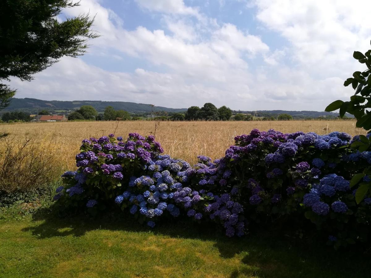 Chez Herveline Le Fer Plouigneau Buitenkant foto